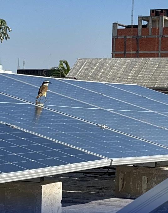 Paneles sobre una terraza en la ciudad